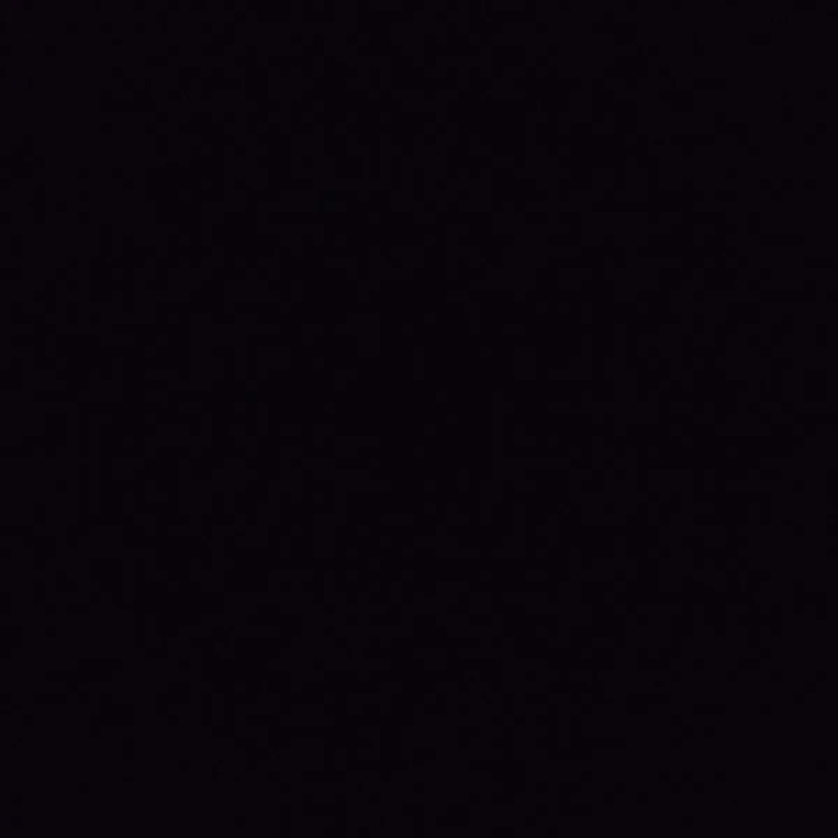 silver_D의 S