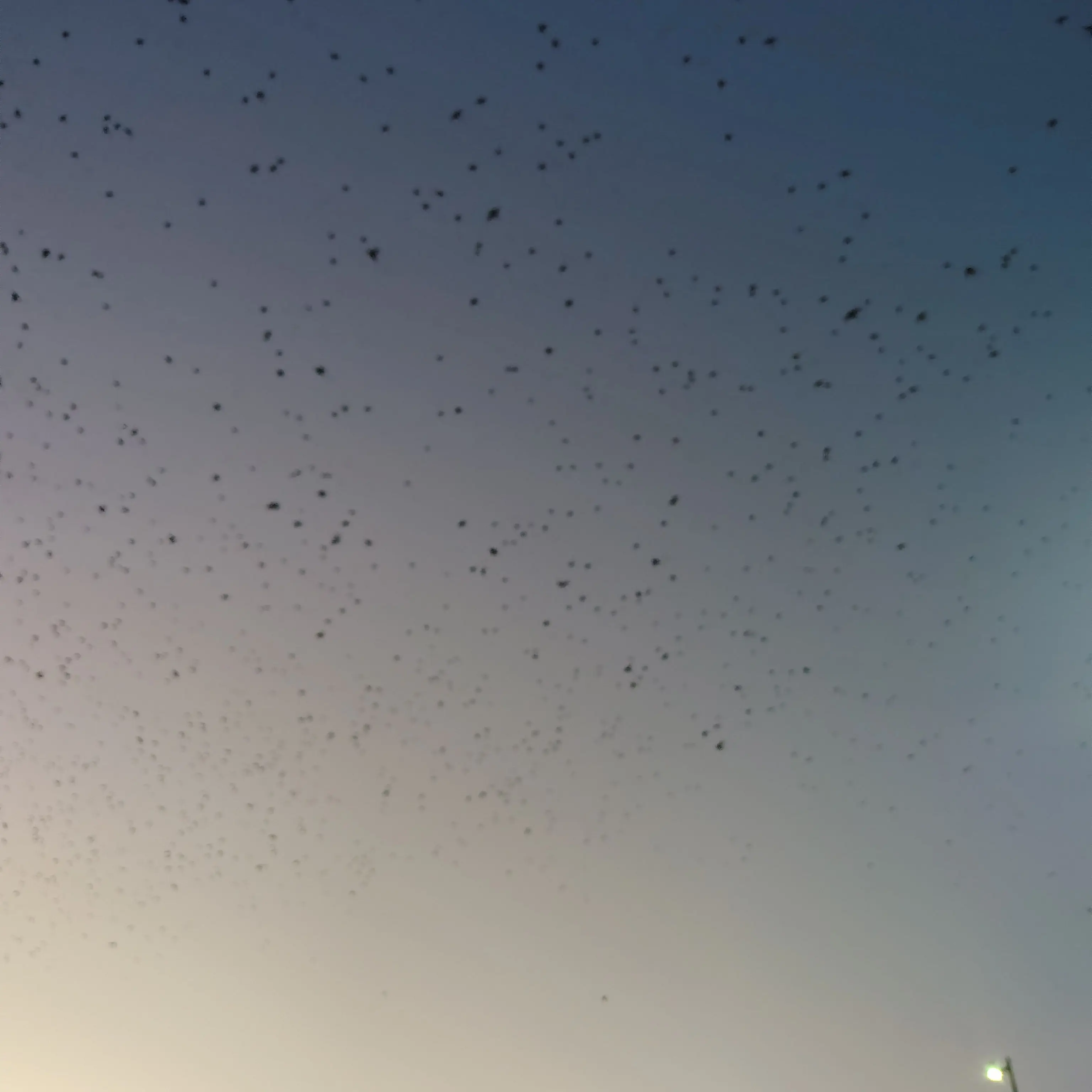 QuietSuit8809의 Make an isekai