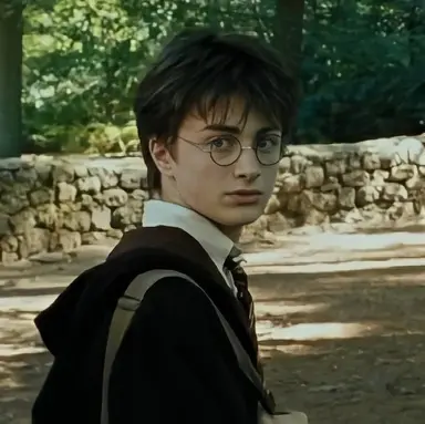 Profile image of Harry Potter