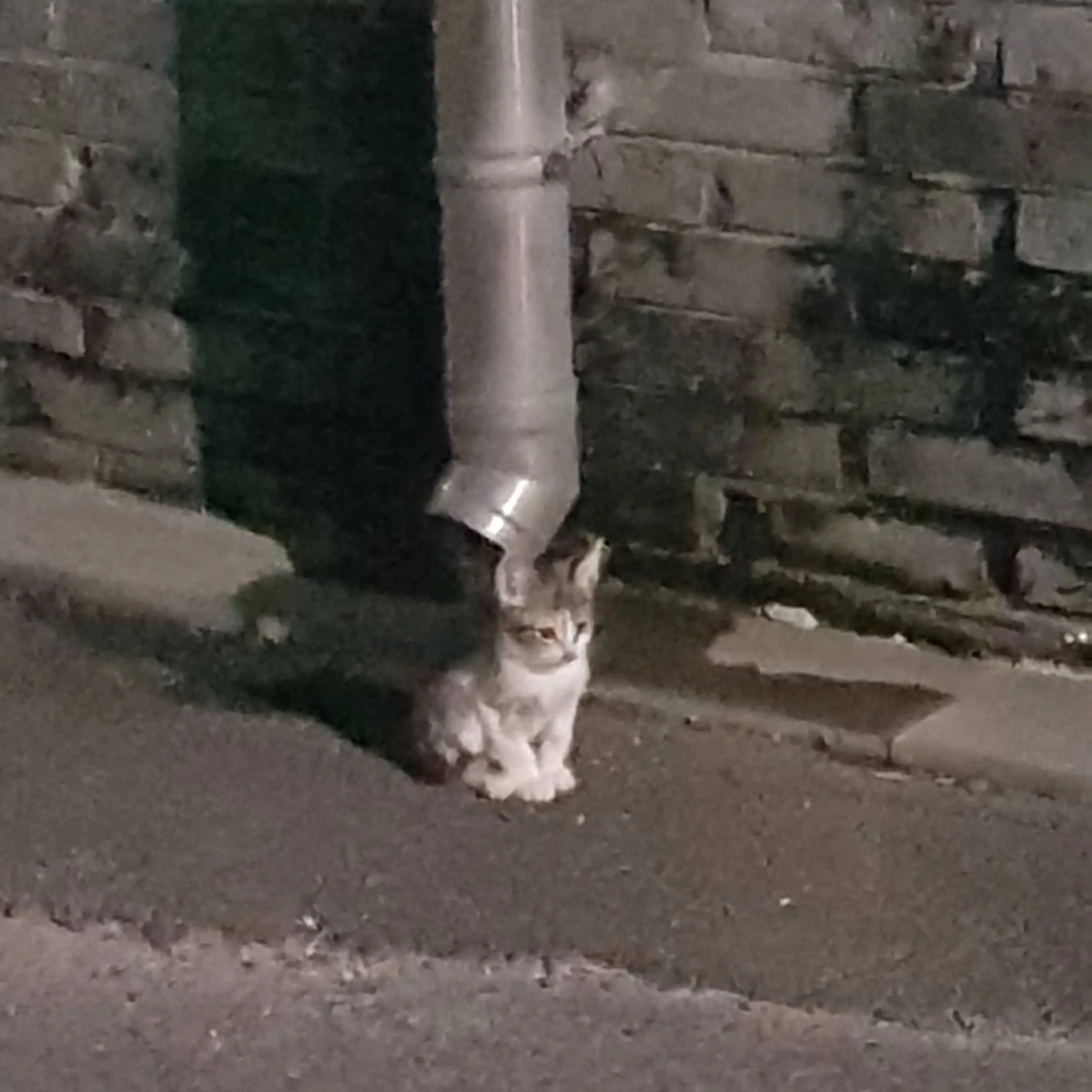 RancidBrake6286의 학폭 가해자의 달라진 모습