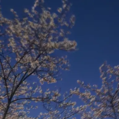 Profile image of 어릴수록어른인 시대