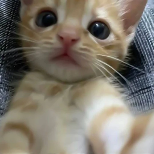 이민호