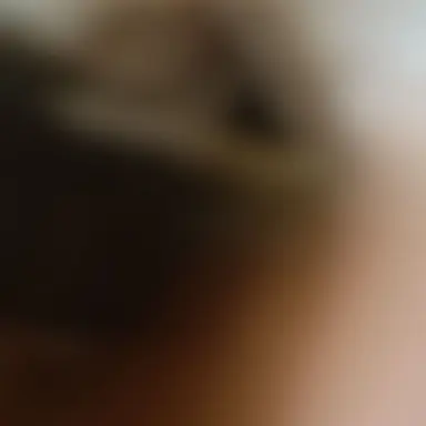 Profile image of けちゃ