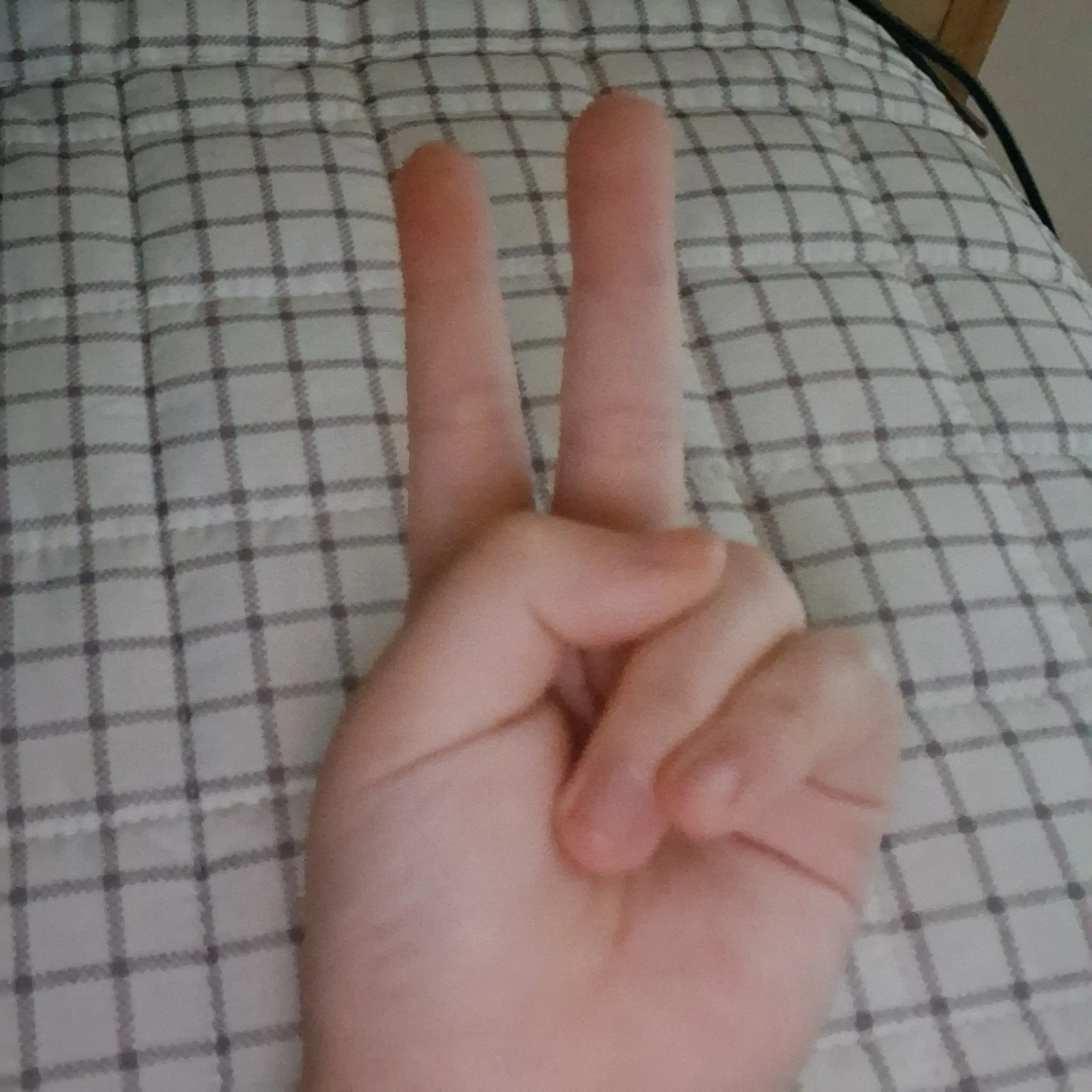 MintyDoor9451의 ㆍ