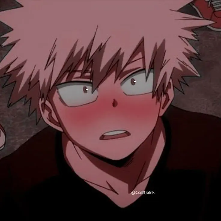 Asianboys의 Bakugo katsuki