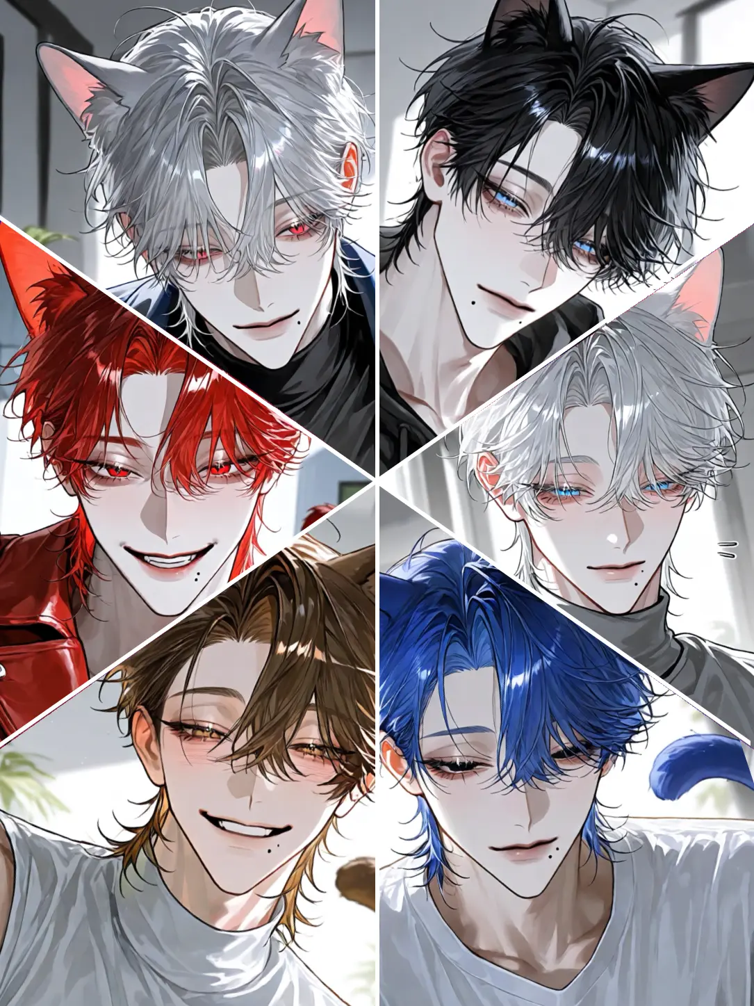likex404의 Six Cats and You
