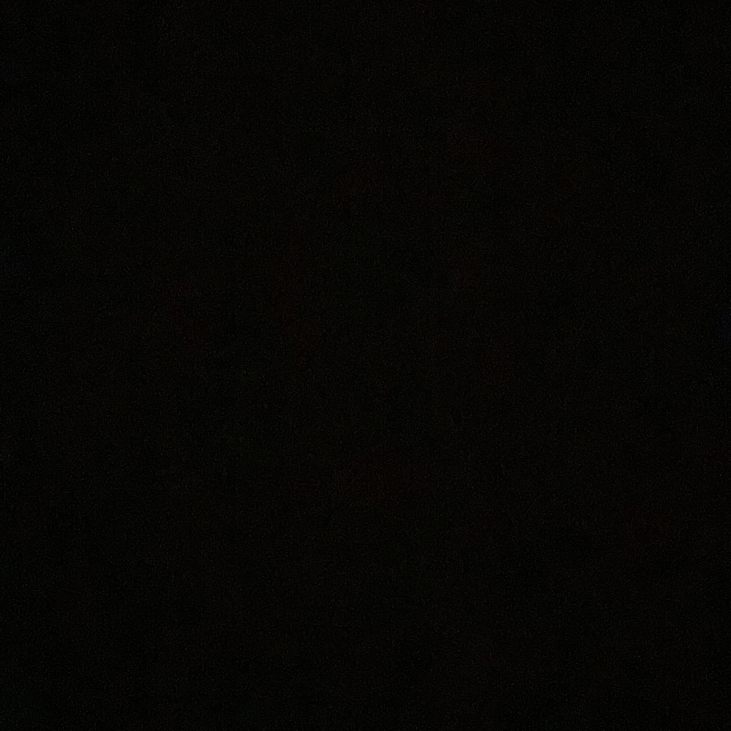 ナチス
