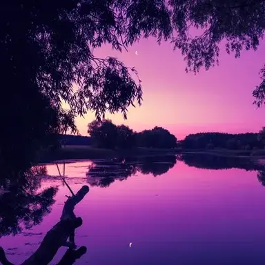 Profile image of Modern Life 2023