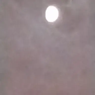 Profile image of 일상 되돌아보기