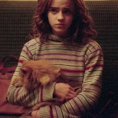 Profile image of Hermione Granger