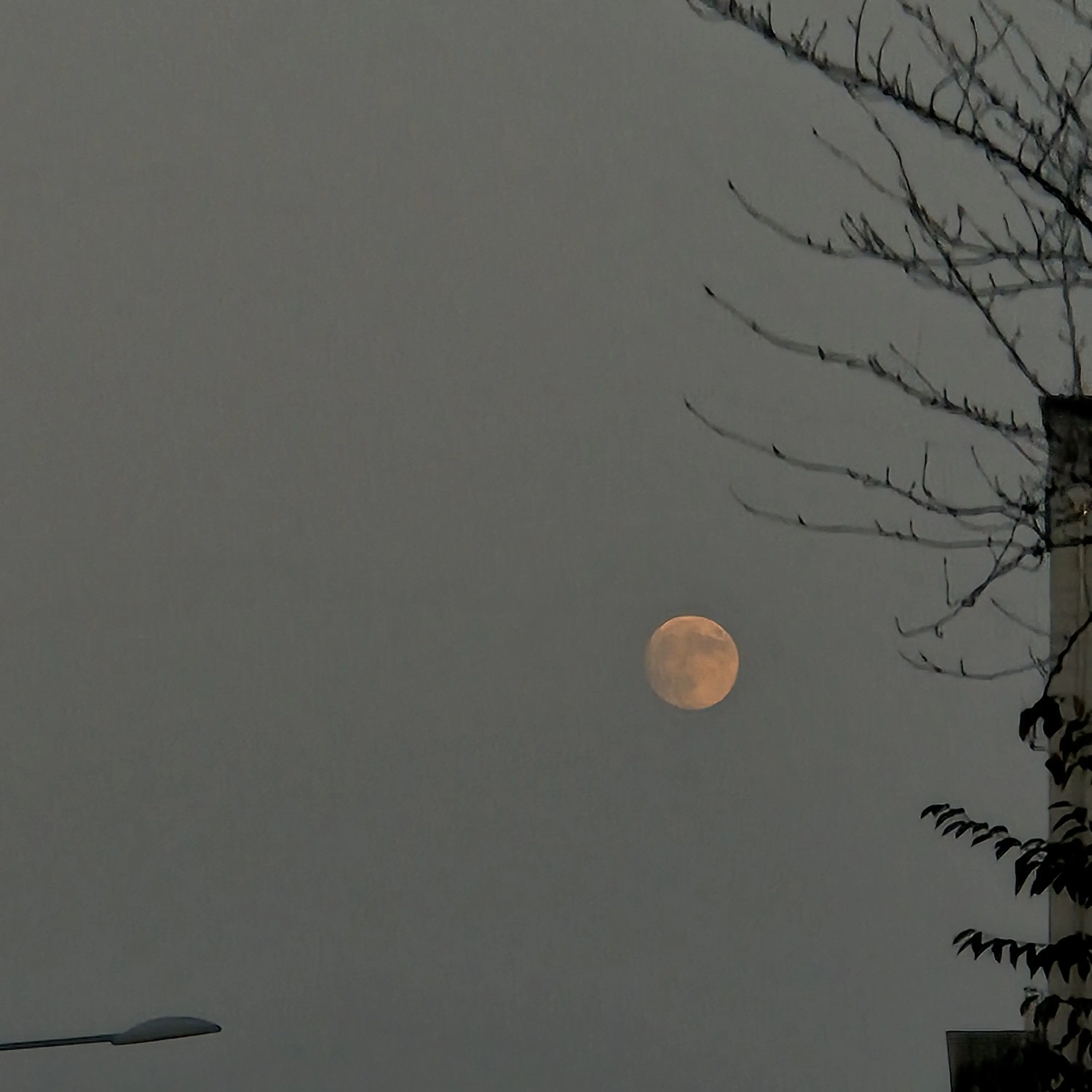 cereals의 나한테만 돈 빌리는 아저씨