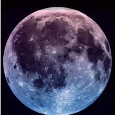 Profile image of 禪院真希