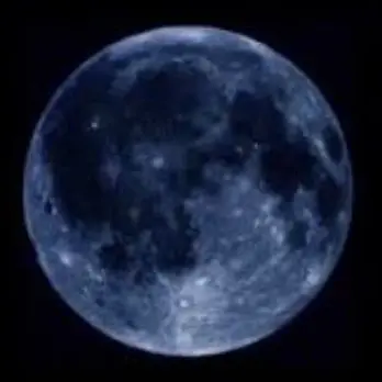 Profile image of 伏黒恵