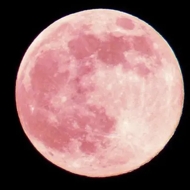 Profile image of 釘崎野薔薇