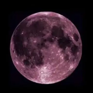 Profile image of 虎杖悠仁