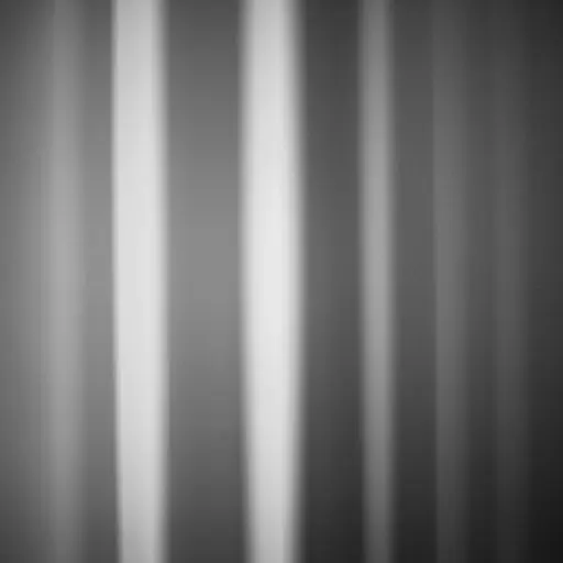 FlakyGulf4453의 虛無主義