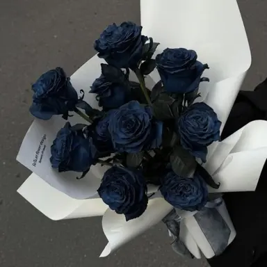 Profile image of リノ