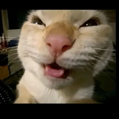 Profile image of 박서준