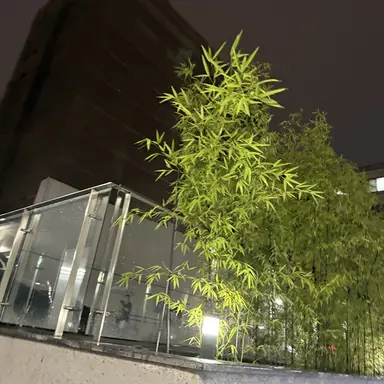 Profile image of 쌈뻥한 크림씌