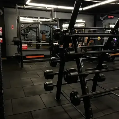 Profile image of Robert