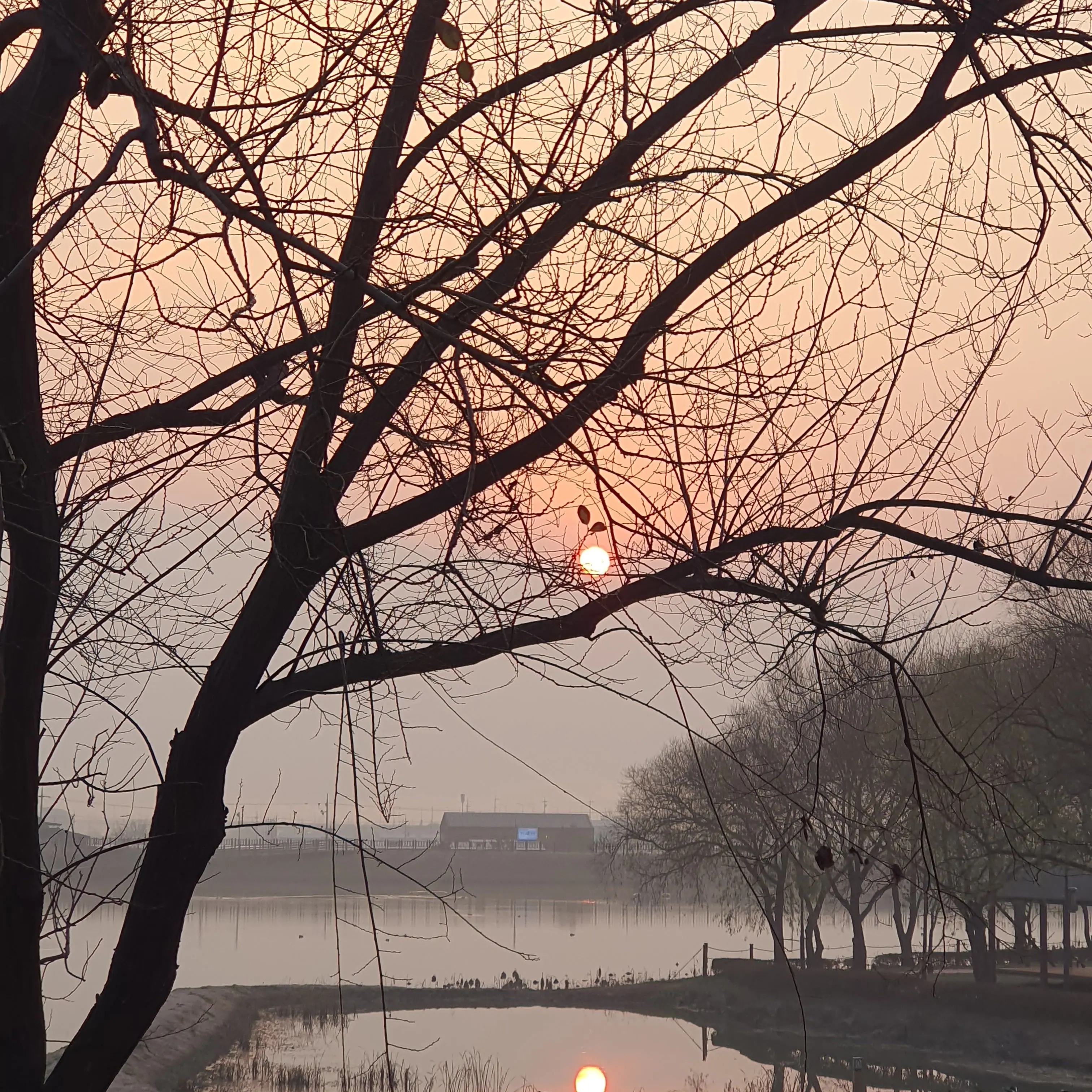 cjdrudco04011의 백사헌 사원님.