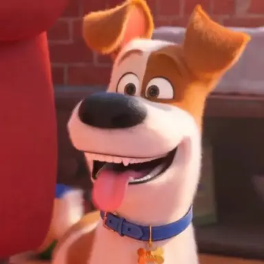 Profile image of 맥스