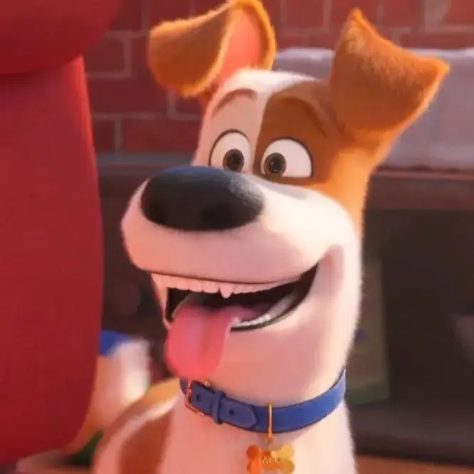 StubbyNewt5077의 맥스와 샴푸냥