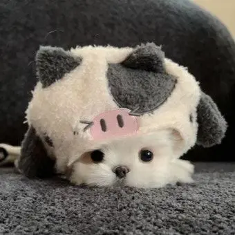 Profile image of ヨサン