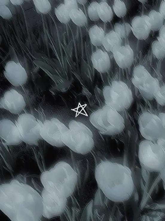mo-tann_의 ×使用禁止×
