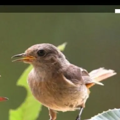 Profile image of 꾸꾸