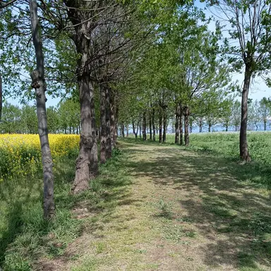 Profile image of ブルロ学園のみんな