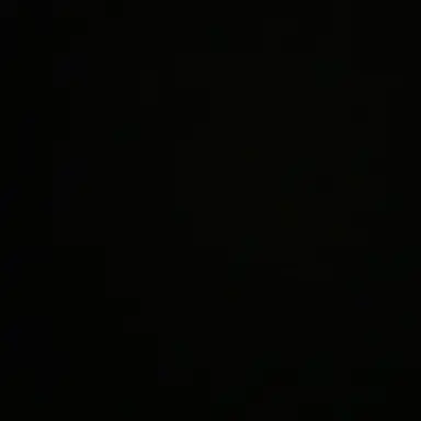 Profile image of 이시온