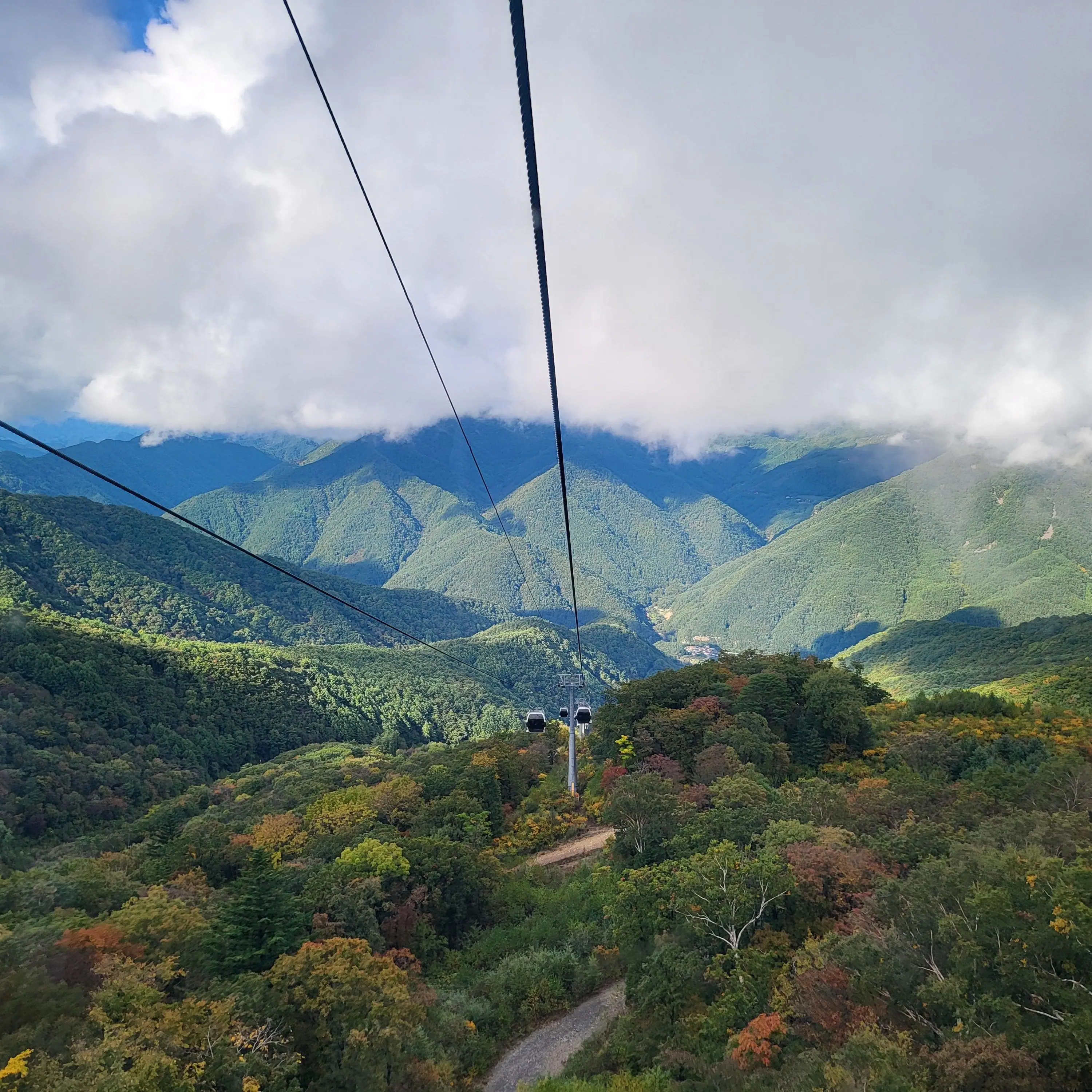 FunnyBonus1816의 ㅇㅇ중학교