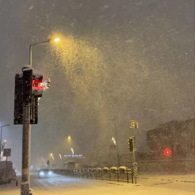 Moorii-zoaa의 ㅁㅈㅎ