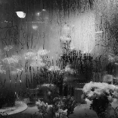 Profile image of 닝이줘