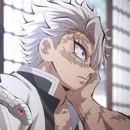 Profile image of Sanemi Shinazugawa