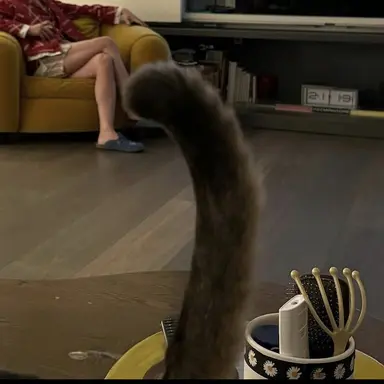 Profile image of 지용