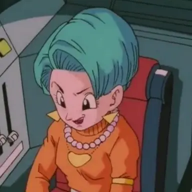 Profile image of ブルマ