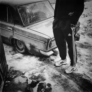 Profile image of Misha