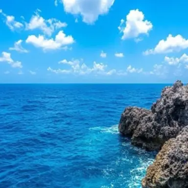 Profile image of 이다예