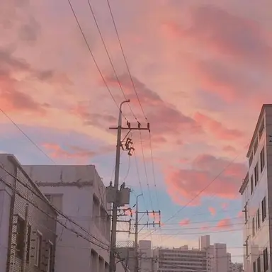 Profile image of 잠뜰