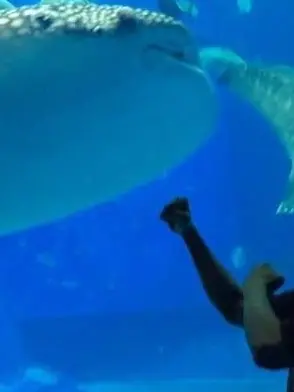 Noe_nan.의 もっと触れたい