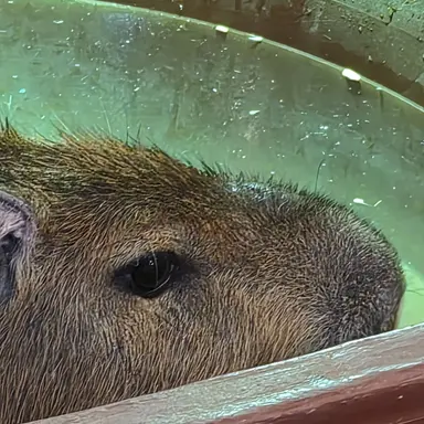 Profile image of 잭