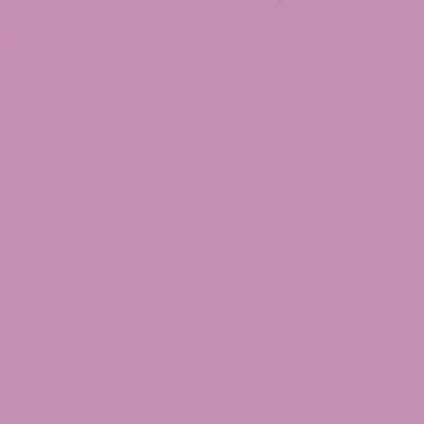 Profile image of ないこ