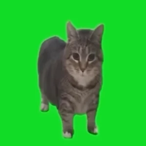 쵱벙귱