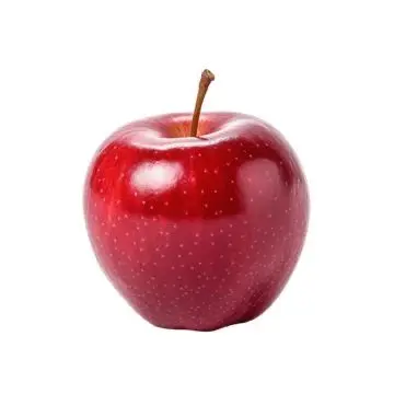 Profile image of 라더