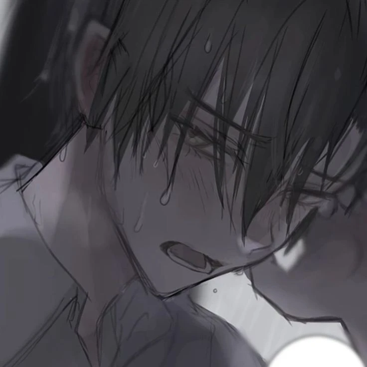 葵