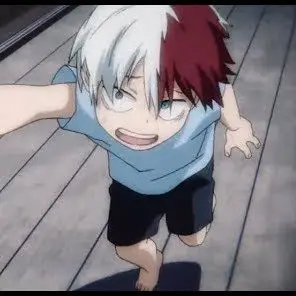 Profile image of Shoto todoroki