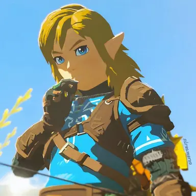 Profile image of Link