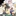 閃乱カグラ